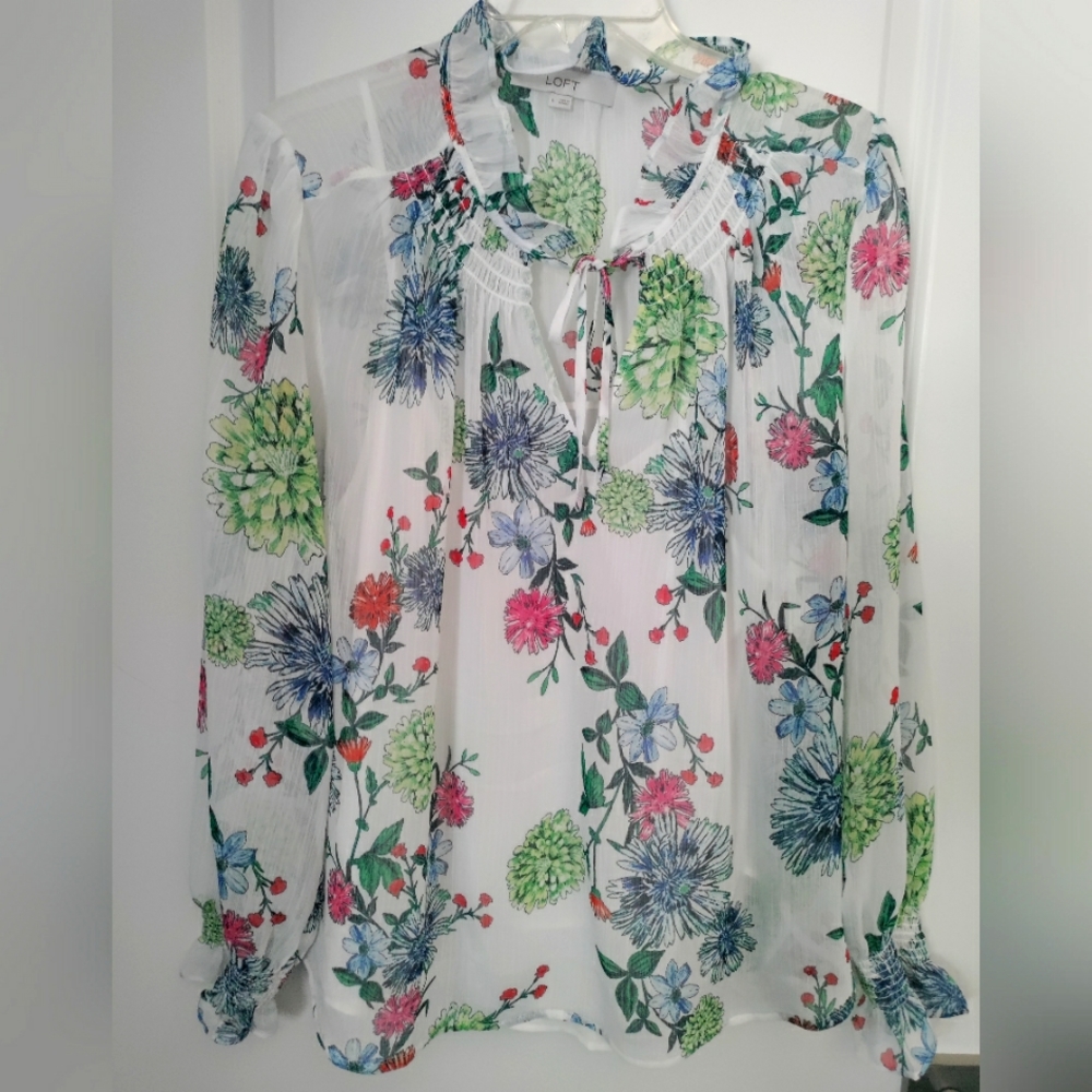 Beautiful Sheer Loft Ruffle Neck Blouse with Attached Cami